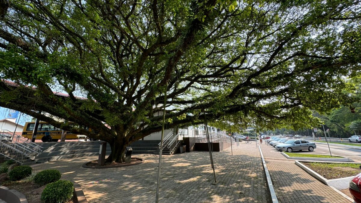 Praça do Imigrante