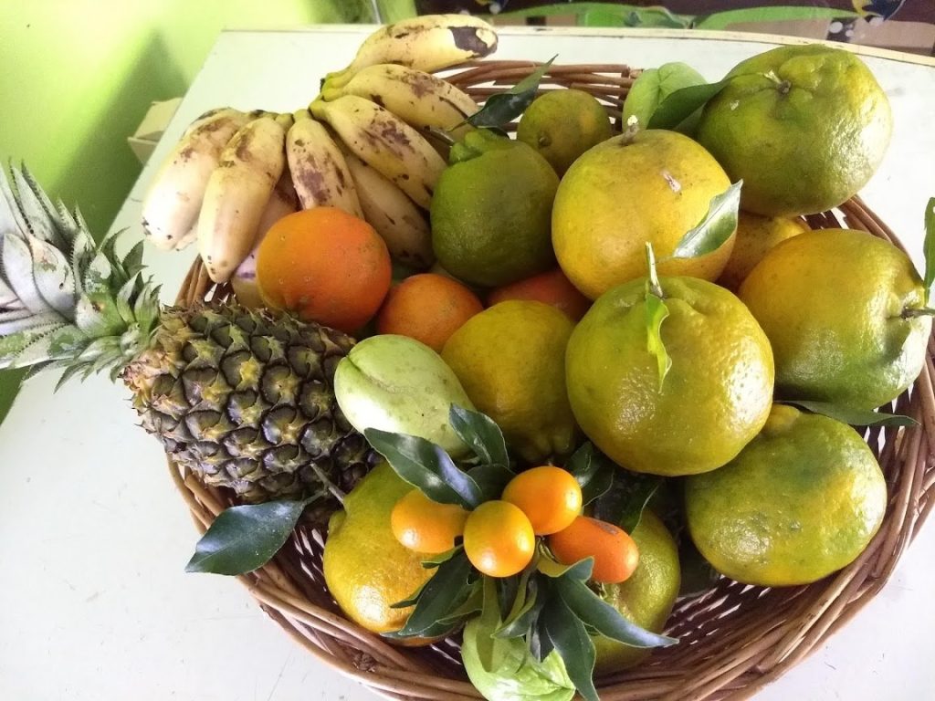 Frutas no Pomar Sabores da Roça Agroturismo